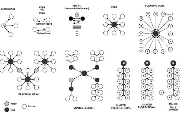 from point-to-point to complex network topologies Image of from point-to-point to complex network topologies