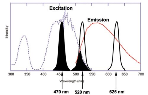Excitation and emission spectra of YAG phosphor Image of Excitation and emission spectra of YAG phosphor