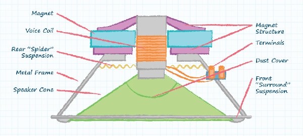 Basic speaker construction Diagram of basic speaker construction