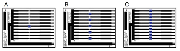 Schematic illustration of one (A), five (B), and ten (C) chip resistors Illustration schématique d'une (A), de cinq (B) et de dix (C) résistances pavés