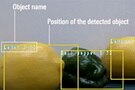 Image of Accelerate Vision Recognition System Design with the Renesas RZ/V2 Series MPUs