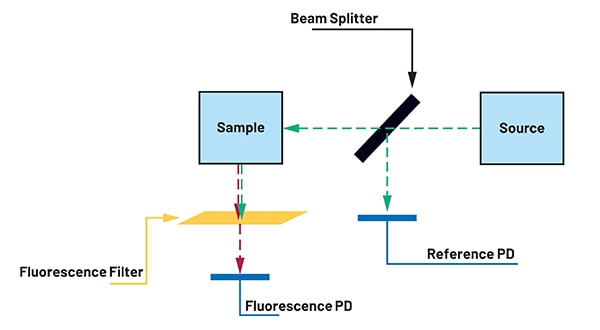 Optical path for fluorescence measurement Diagram of optical path for fluorescence measurement