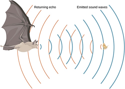 Electronic acoustic detection and position sensing Schéma de détection acoustique électronique et de la détection de position