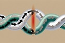 Image of Ensure Connectivity in Harsh Environments with Bonded-Pair Ethernet Cables