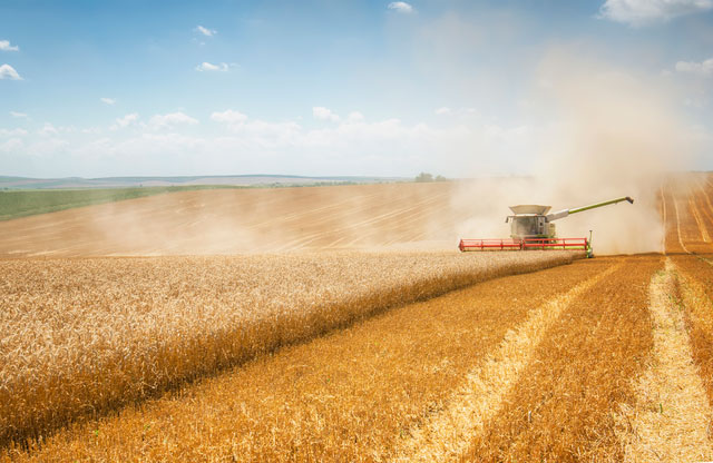 Agriculture and IoT – How the Two Work Hand in Hand
