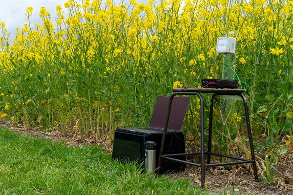 Enhancing LPWAN IoT Device Lifespan: Technical Strategies for Better Battery Management