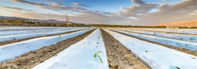 Advanced agriculture in Desert Environment