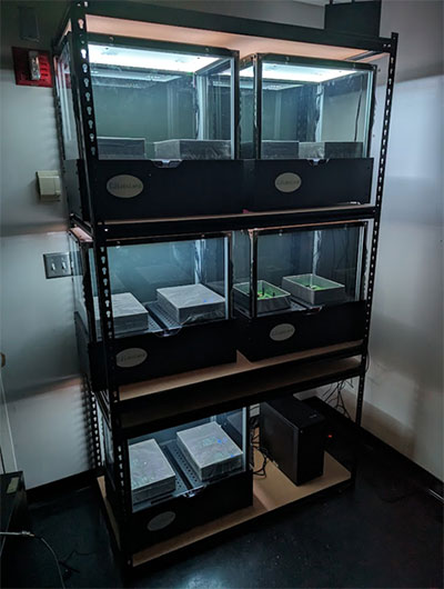 Remote Hardware Systems with the LabsLand Prism4