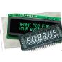 Vacuum Fluorescent Display