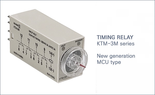 Timing Relay