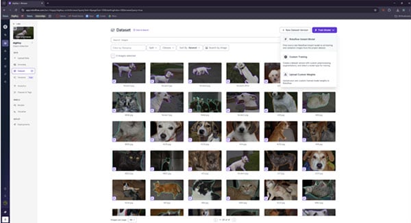 Create a Custom Object Detection Model with Photos Image of Create a Custom Object Detection Model with Photos