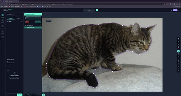Create a Custom Object Detection Model with Photos Image of Create a Custom Object Detection Model with Photos