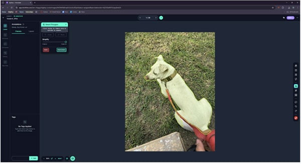 Create a Custom Object Detection Model with Photos Image of Create a Custom Object Detection Model with Photos