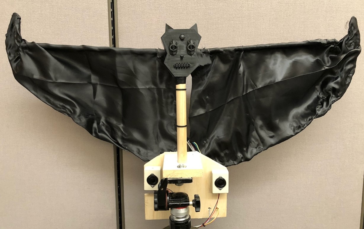 Build a Halloween Screaming, Wing Flapping “Cat Bat”