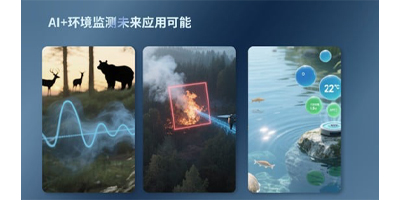 Image of Related Content Card: Master AI Environmental Sensing System Development with This Development Board Toolkit!