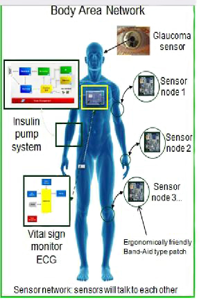 Image of medical- and biological-interfaced systems