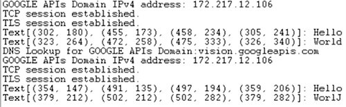 Image of terminal output from the GCP Vision API responses