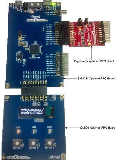 Microchip 的 SAM D21 MCU 架構 ATSAMD21-XPRO 開發套件圖片