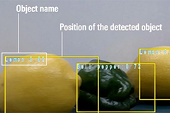 Renesas RX/V2 Series Vision Recognition | DigiKey