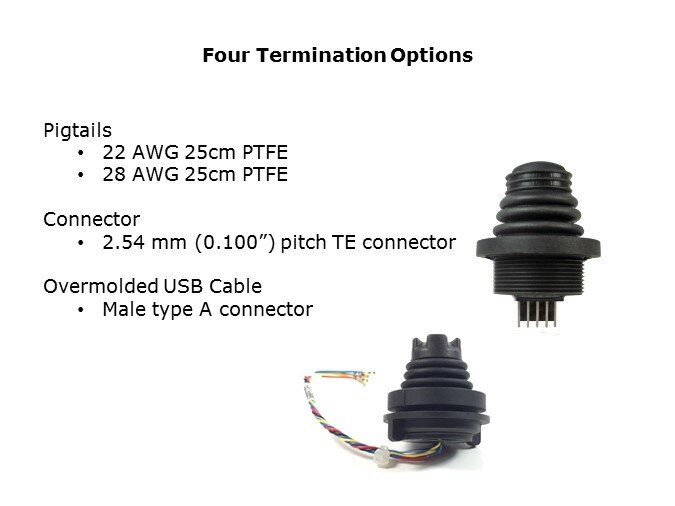 four term opt