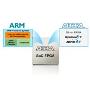 Customizable ARM-Based SoC