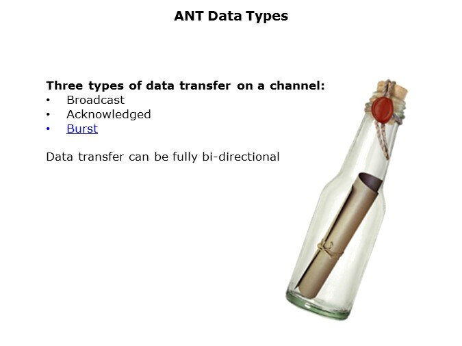 ANT-Slide25