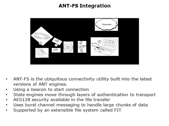 ANT-Slide34