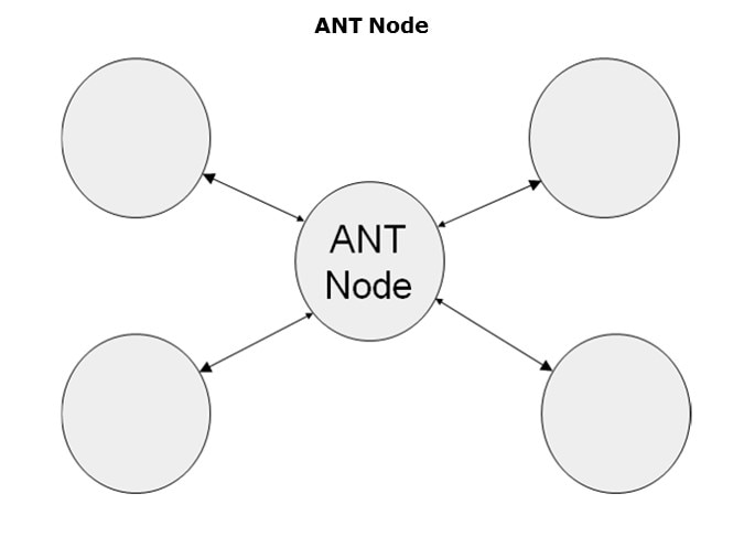 ANT-Slide4