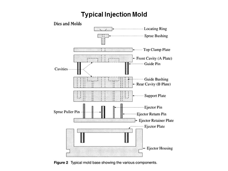 typical mold