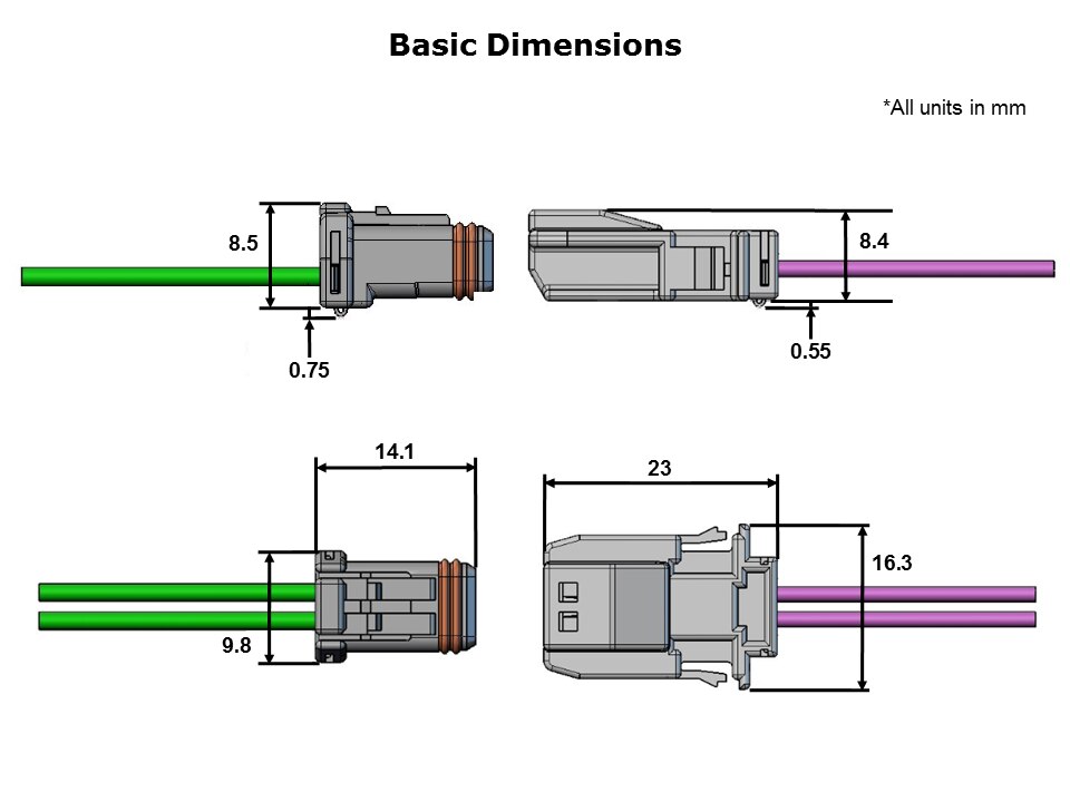 MC19-Slide6