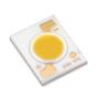 CoB Compact