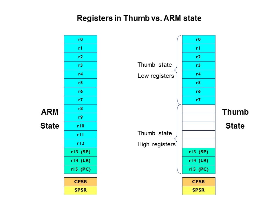 reg thumb vs arm