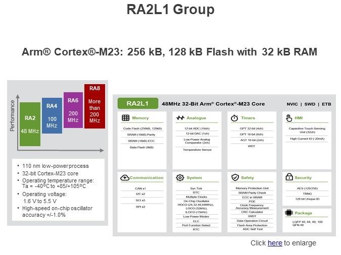 RA2L1 Group