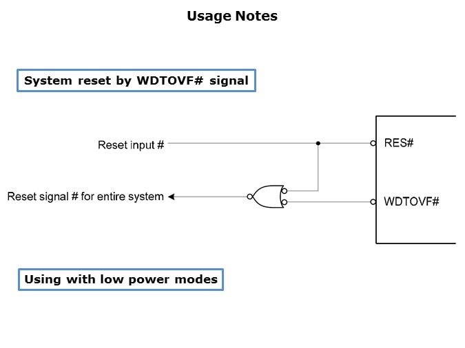 WDT-Slide11