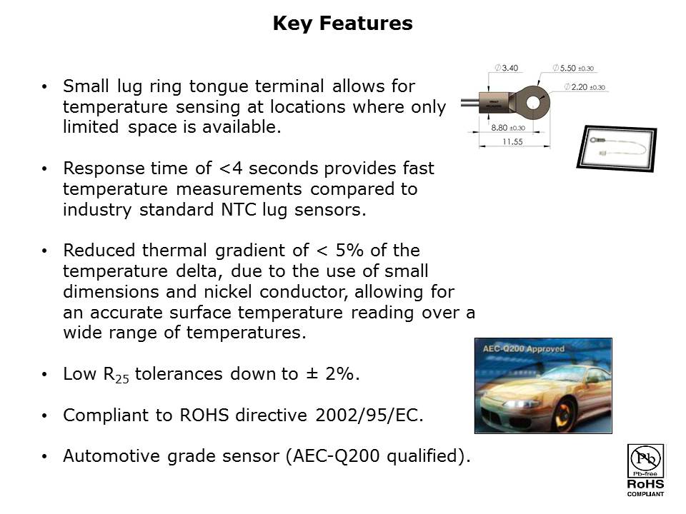 Mini Lug Temperature Sensors Slide 2
