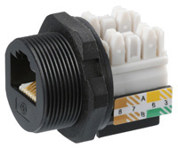 Image of ASSMANN WSW Components' Waterproof RJ45 Series Plugs and Jacks