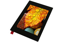 Image of Electronic Assembly's (Display Visions') 3.5" Sunlight-Readable TFT IPS Display