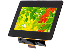 Image of Display Visions' 4.3“ Sunlight-Readable TFT IPS Displays