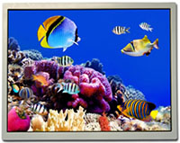 Image of Kyocera's 10.4' XGA TFT Displays