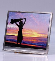 Image of Lumex's InfoVue™ TFT LCD Modules