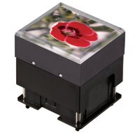 NKK 的 OLED 顯示器無框架按鈕圖片