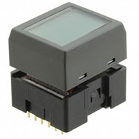 NKK Switches SmartDisplay™ LCD 36 x 24 按钮开关和显示屏