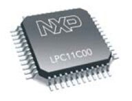 LPC11C00
