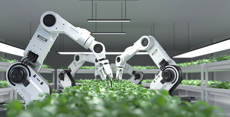 Machine Learning and Edge Computing
