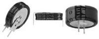 Image of Panasonic's Electric Double Layer Capacitor