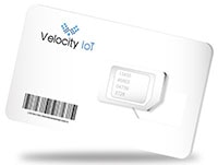 Velocity IoT Cellular IoT Anywhere 三重切割 SIM 卡 2FF/3FF/4FF 的图片