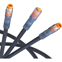 Image of Lumberg Automation M8 Series