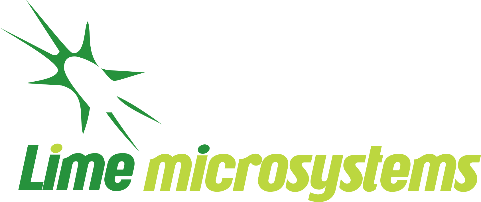 Image of Lime Microsystems Logo