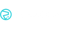 Image of Soracom's Logo