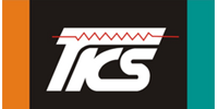 Image of Thinking Electronic Logo